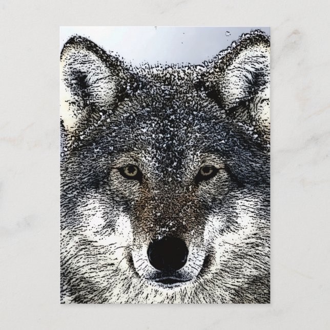 Postal Wolf Eyes (Anverso)