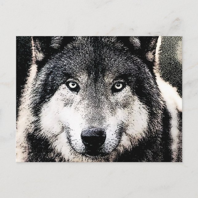 Postal Wolf Eyes (Anverso)