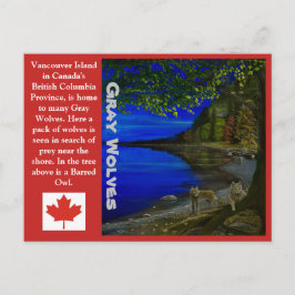 Postal ¡Wolf! Lobos grises y búho barrojo.