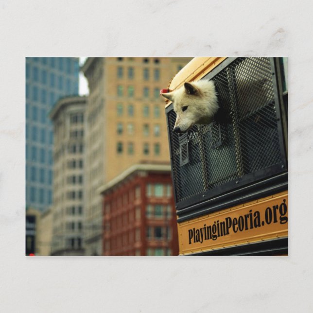Postal Wolf Postcard (Anverso)
