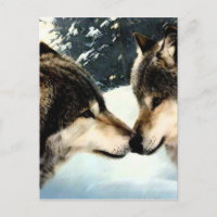 Wolves Wolf Snow Winter Snow Snow Pareja Amor