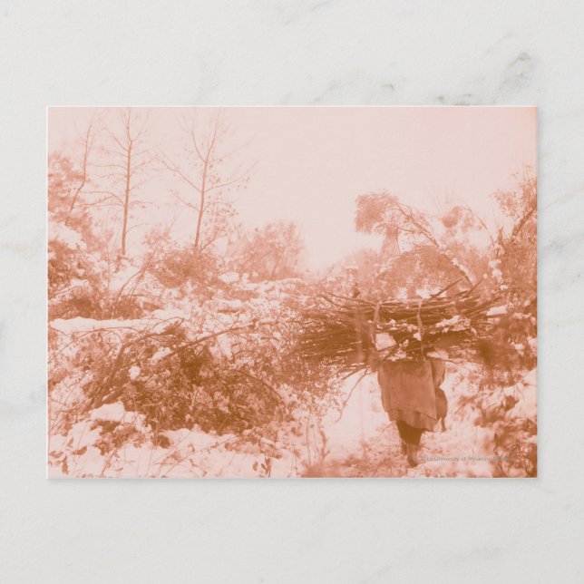 Postal Woman Wood Gatherer (Anverso)