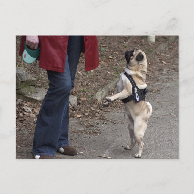 Postal Womanizer (Anverso)