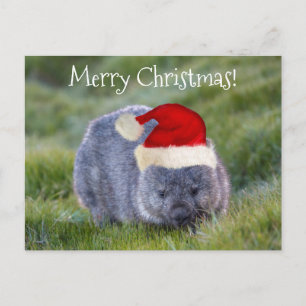 Postal Wombat Australia Red Santa Hat Feliz Navidad