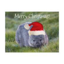 Wombat Australia Red Santa Hat Feliz Navidad