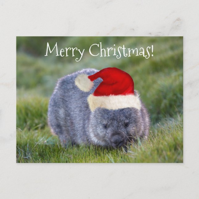 Postal Wombat Australia Red Santa Hat Feliz Navidad (Anverso)