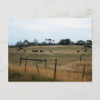 Postal Wonthaggi