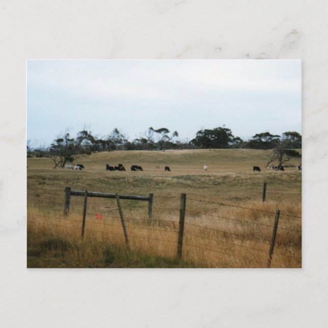 Postal Wonthaggi (Anverso)