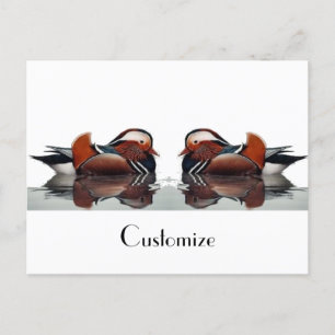 Postal Wood Duck Thunder_Cove