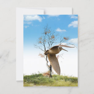 Postal Woodcock