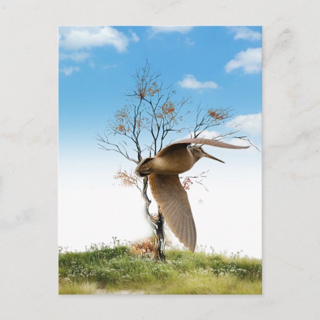 Postal Woodcock (Anverso)