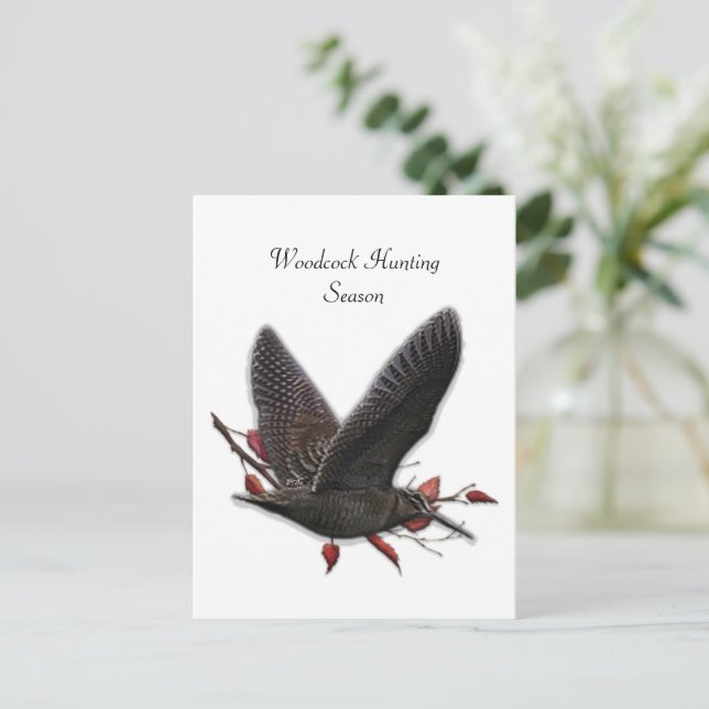 Postal Woodcock (Anverso de pie)