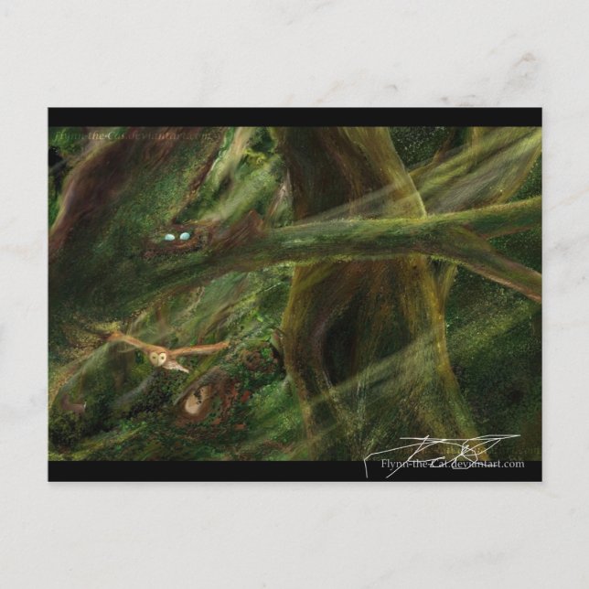 Postal Woodland (Anverso)