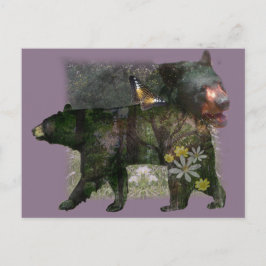 Postal Woodland de oso negro