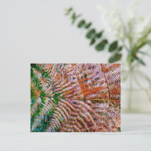 Postal Woodland Ferns