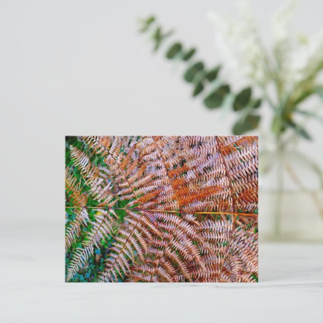 Postal Woodland Ferns (Anverso de pie)