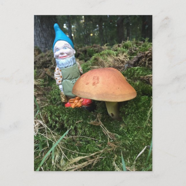 Postal Woodland Gnome (Anverso)