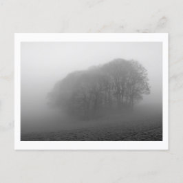 Postal Woodland in the Mist: Cheshire, Inglaterra