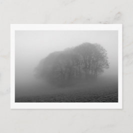Postal Woodland in the Mist: Cheshire, Inglaterra