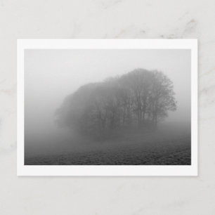 Postal Woodland in the Mist: Cheshire, Inglaterra