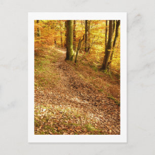 Postal Woodland otoñal: Cumbria