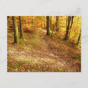 Postal Woodland otoñal: Cumbria