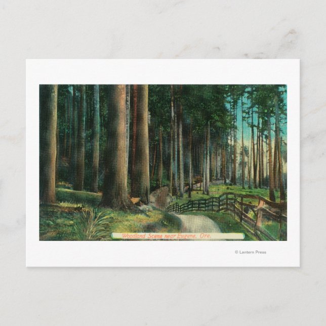 Postal Woodland SceneEugene, OR (Anverso)