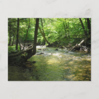 Postal "Woodland Stream"