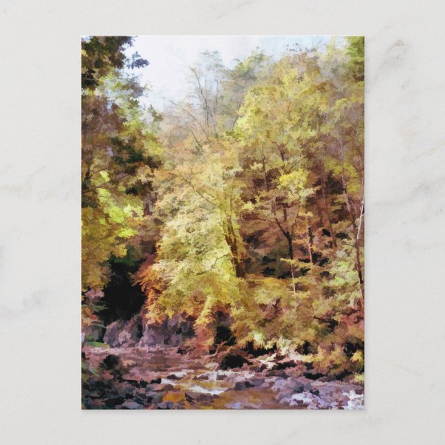 POSTAL WOODLAND STREAM (Anverso)