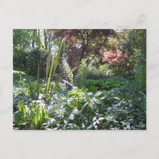 Postal Woodland Walk