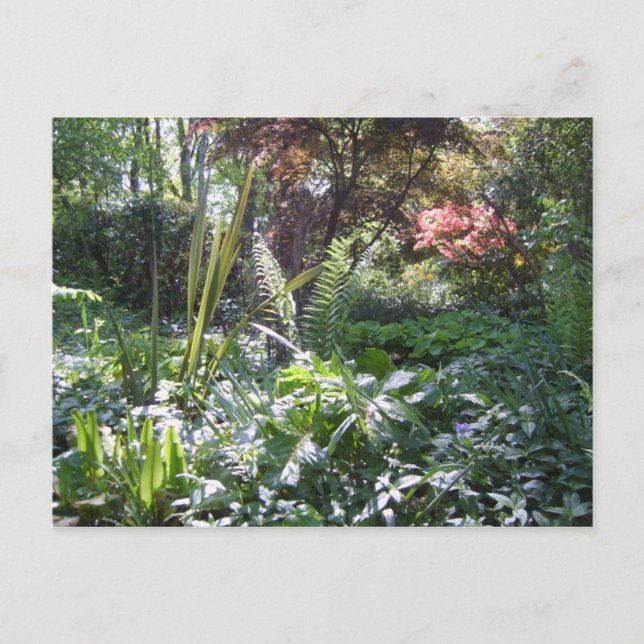 Postal Woodland Walk (Anverso)