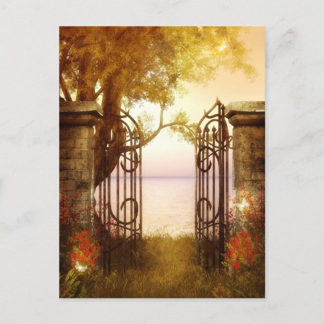 Postal Woodlands Encantadas 11 Postcard (Anverso)