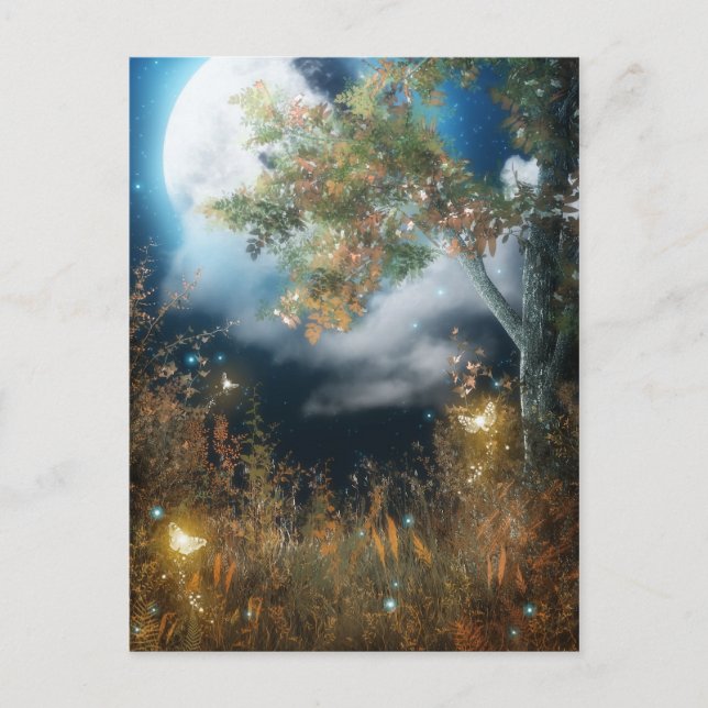 Postal Woodlands Encantadas 12 Postcard (Anverso)