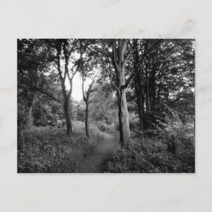 Postal Woods Bute Park, Cardiff