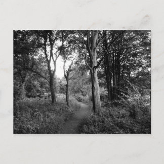 Postal Woods Bute Park, Cardiff