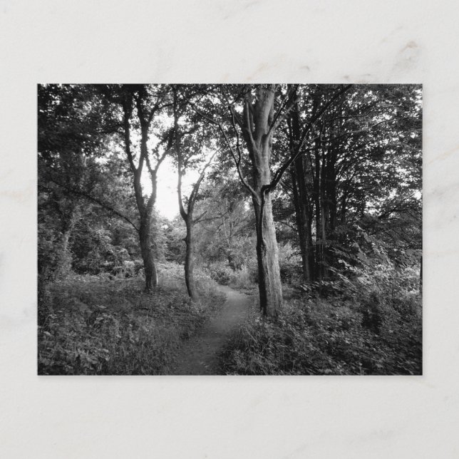 Postal Woods Bute Park, Cardiff (Anverso)