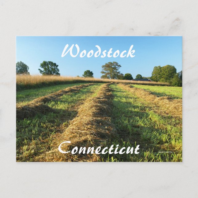 Postal Woodstock (Anverso)