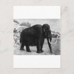 Postal Wooly Mammoth Mod Destiny