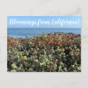 Postal World2Celebrate: ¡Bloomings from California!