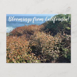 Postal World2Celebrate: ¡Bloomings from California!
