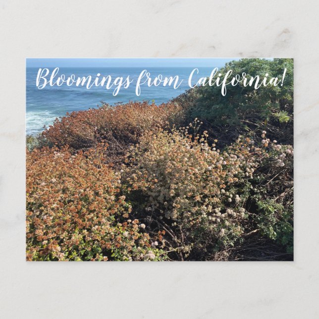 Postal World2Celebrate: ¡Bloomings from California! (Anverso)