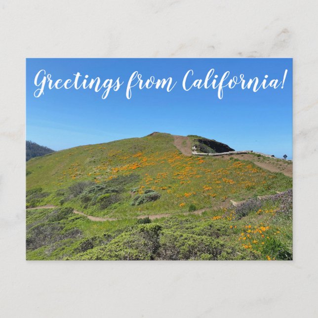 Postal World2Celebrate: ¡Saludos desde San Francisco! (Anverso)