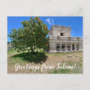 Postal World2Celebrate: ¡Saludos desde Tulum!