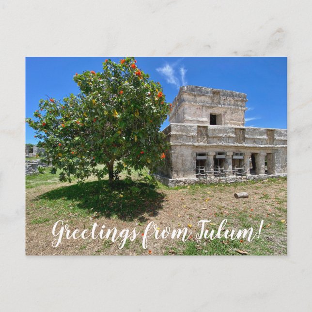 Postal World2Celebrate: ¡Saludos desde Tulum! (Anverso)