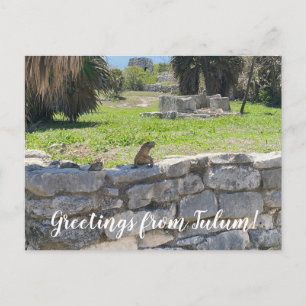 Postal World2Celebrate: ¡Saludos desde Tulum!