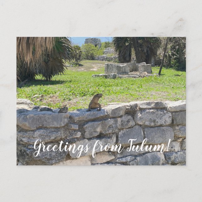 Postal World2Celebrate: ¡Saludos desde Tulum! (Anverso)