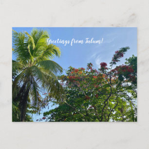 Postal World2Celebrate: ¡Saludos desde Tulum!