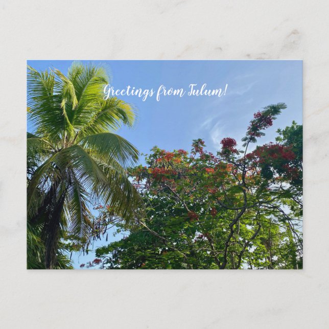 Postal World2Celebrate: ¡Saludos desde Tulum! (Anverso)