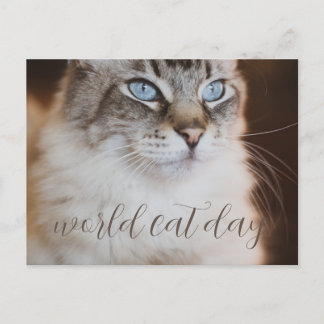 Postal world Cat Day Postcard
