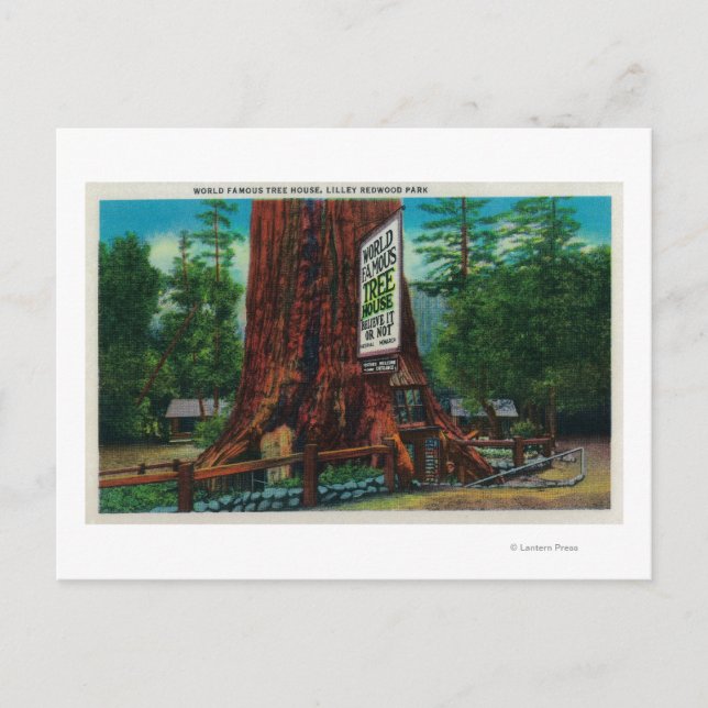 Postal World Famous Tree House, Parque Lilley Redwood (Anverso)